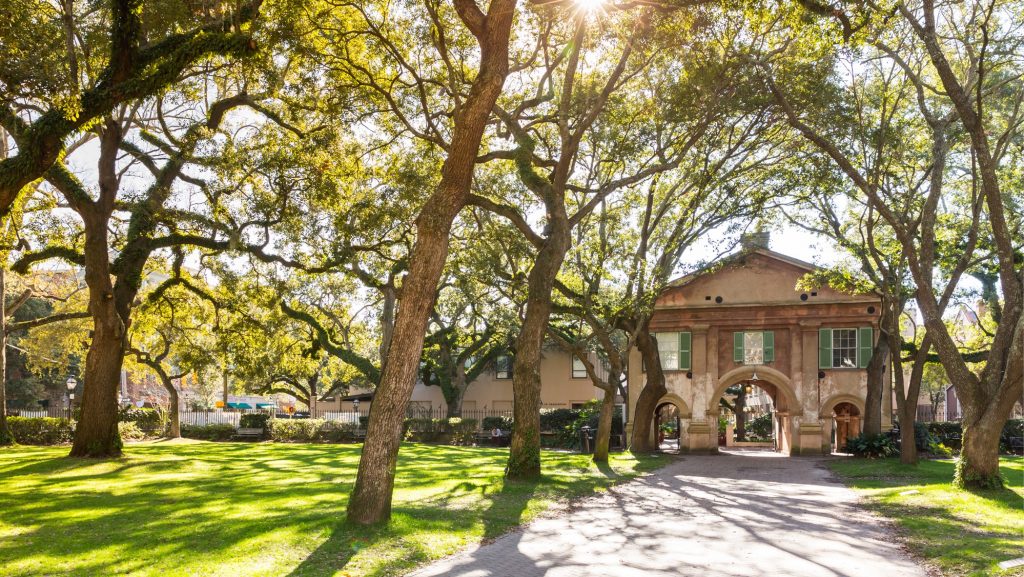 Getting To Know The College of Charleston (SC) Educated Quest